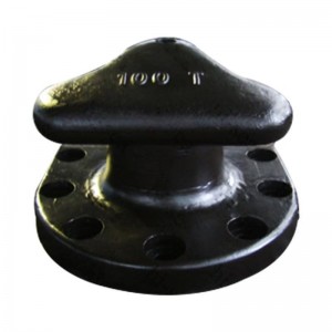 Marine mooring tee head bollard with anchors